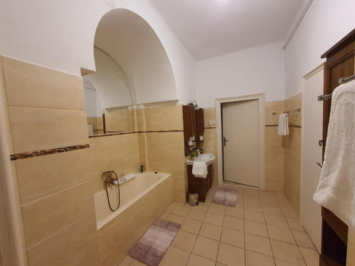 Apartament Enescu Temešvár Exteriér fotografie