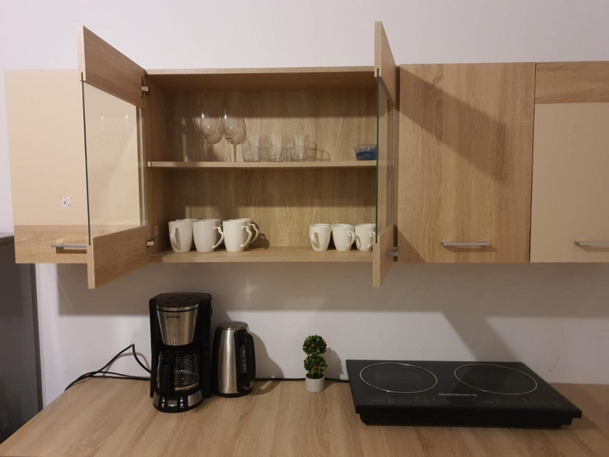 Apartament Enescu Temešvár Exteriér fotografie