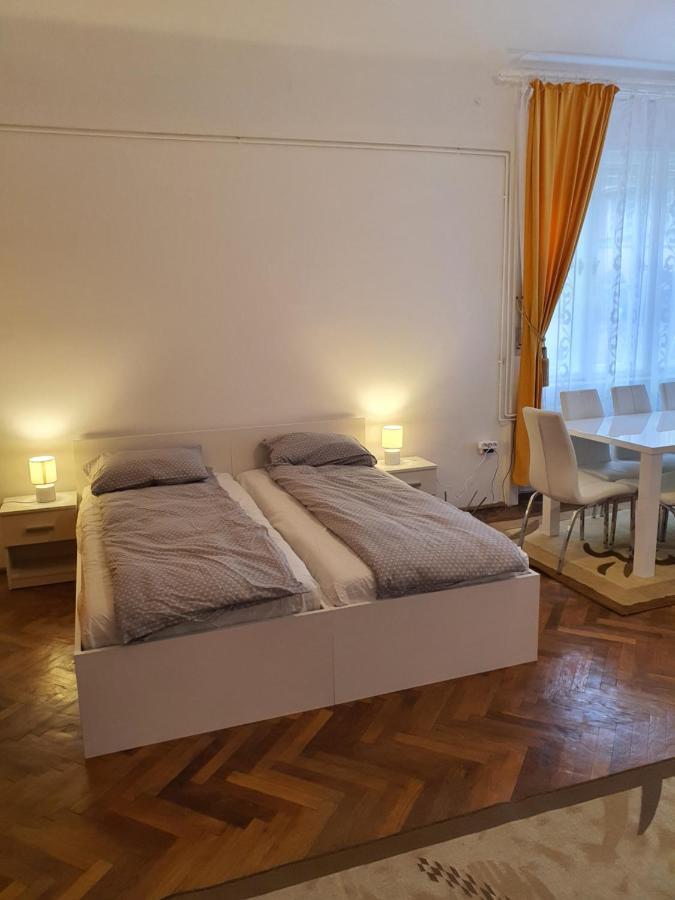 Apartament Enescu Temešvár Exteriér fotografie