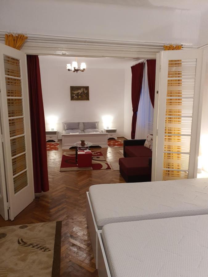 Apartament Enescu Temešvár Exteriér fotografie